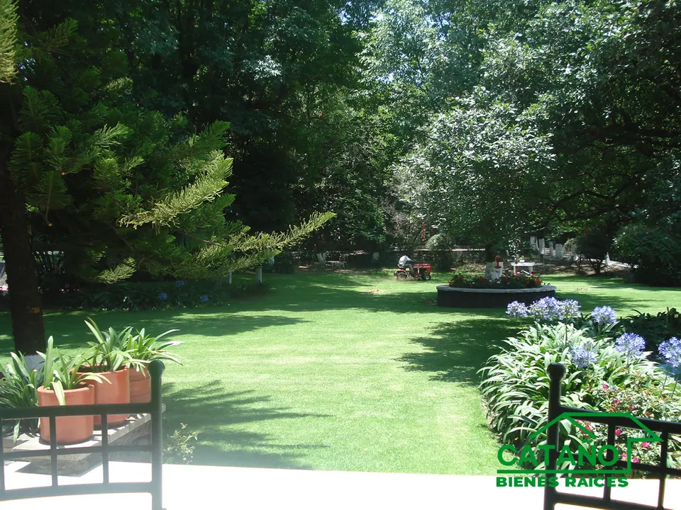 jardin