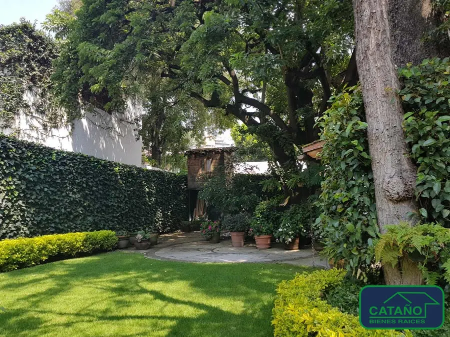 jardin