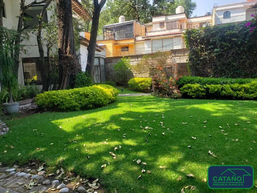 jardin