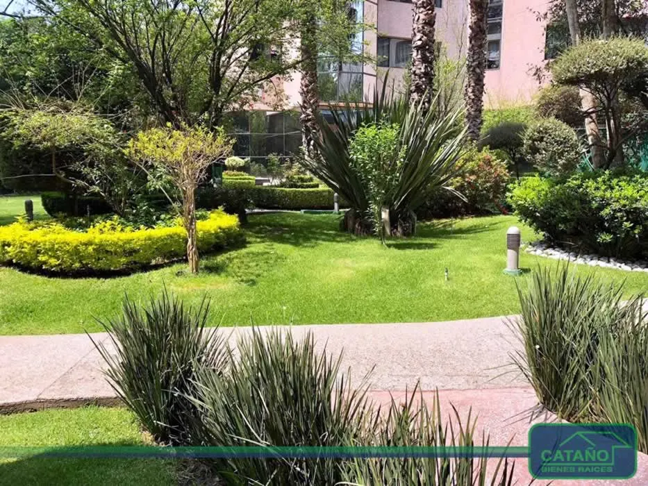Departamento remodelado en Lomas de Chapultepec
