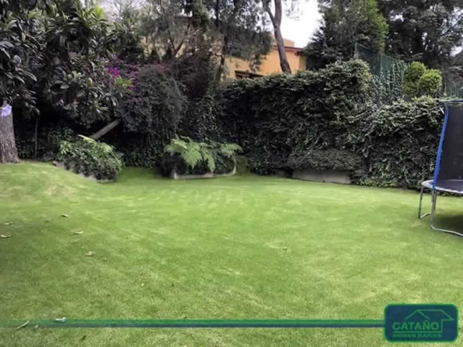 jardin