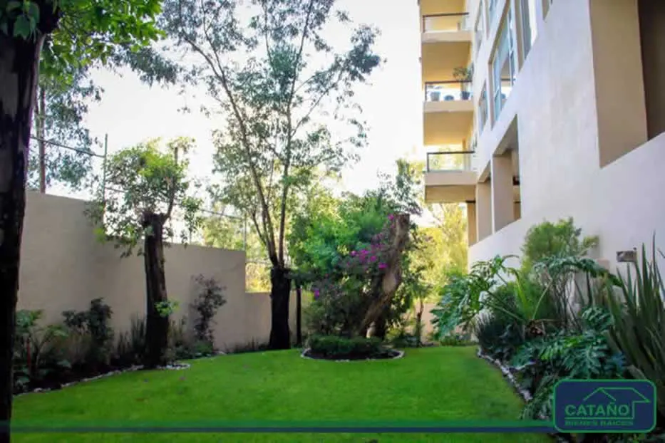 jardin
