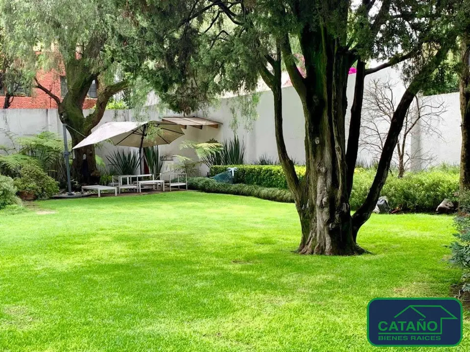 jardin