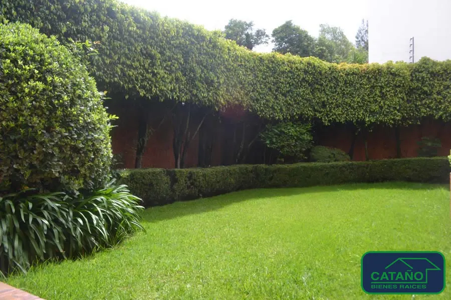 jardin