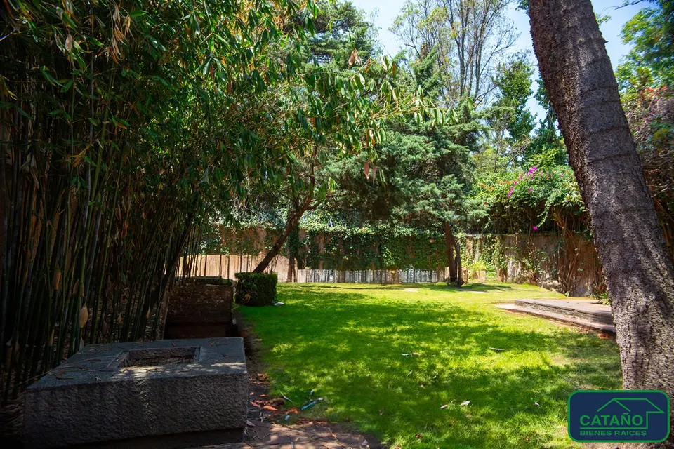jardin