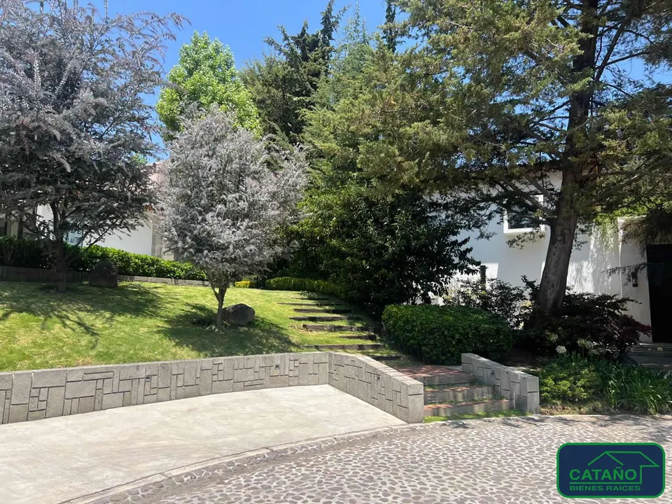 jardin