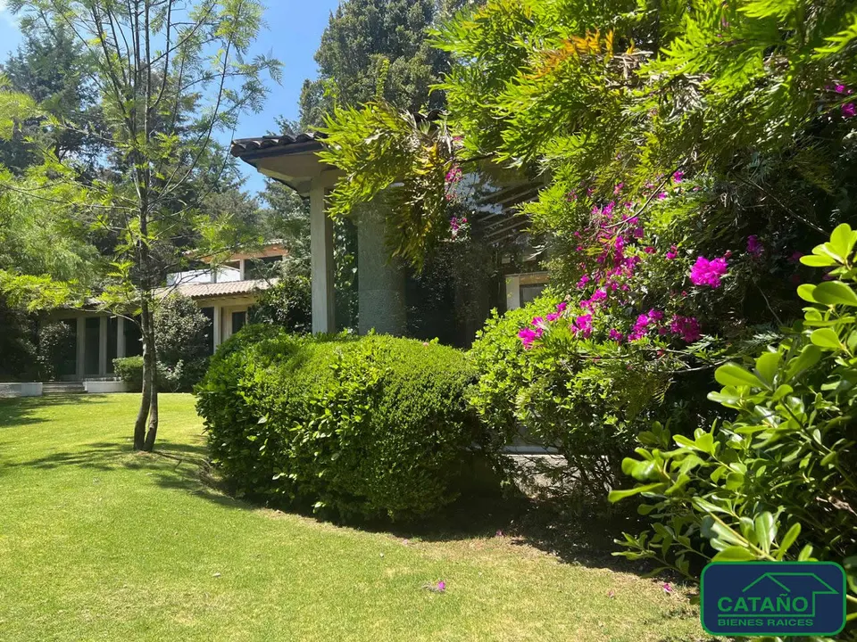 jardin