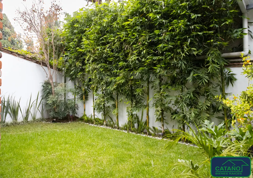 jardin