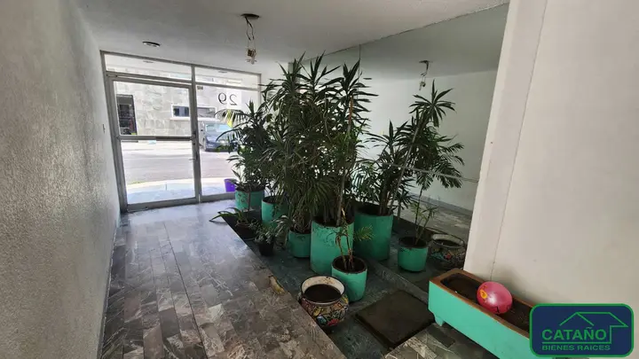 Edificio en venta, Xotepingo, Peonia (4/6)