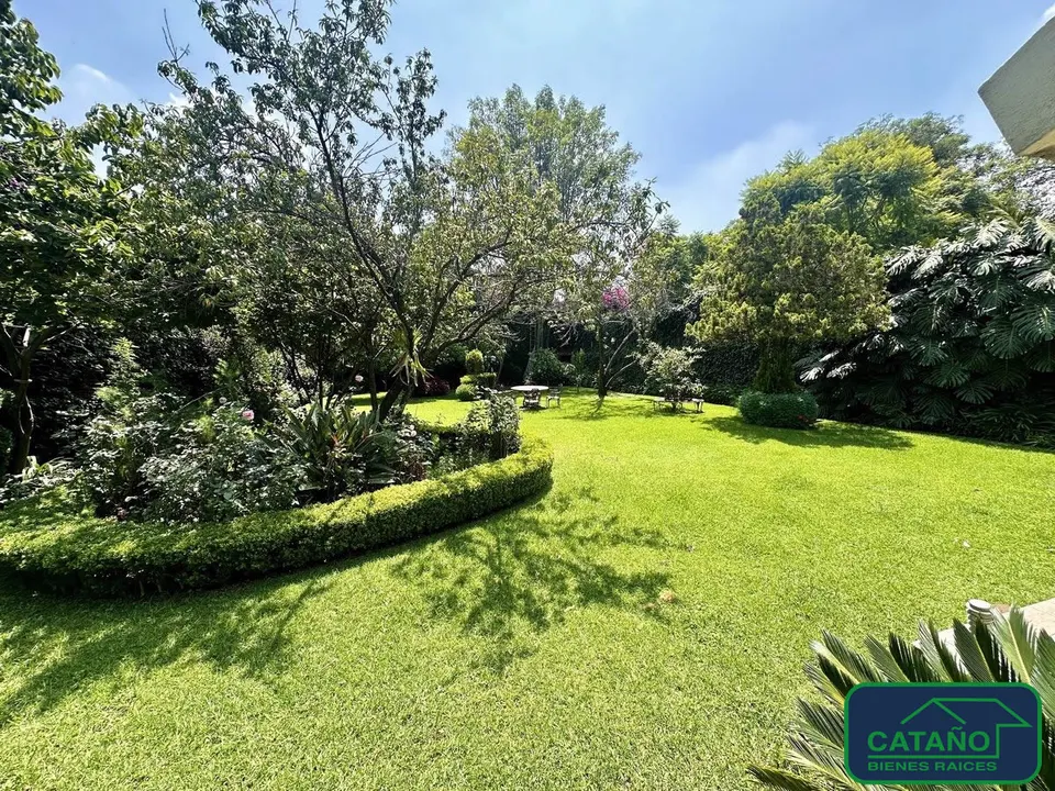jardin