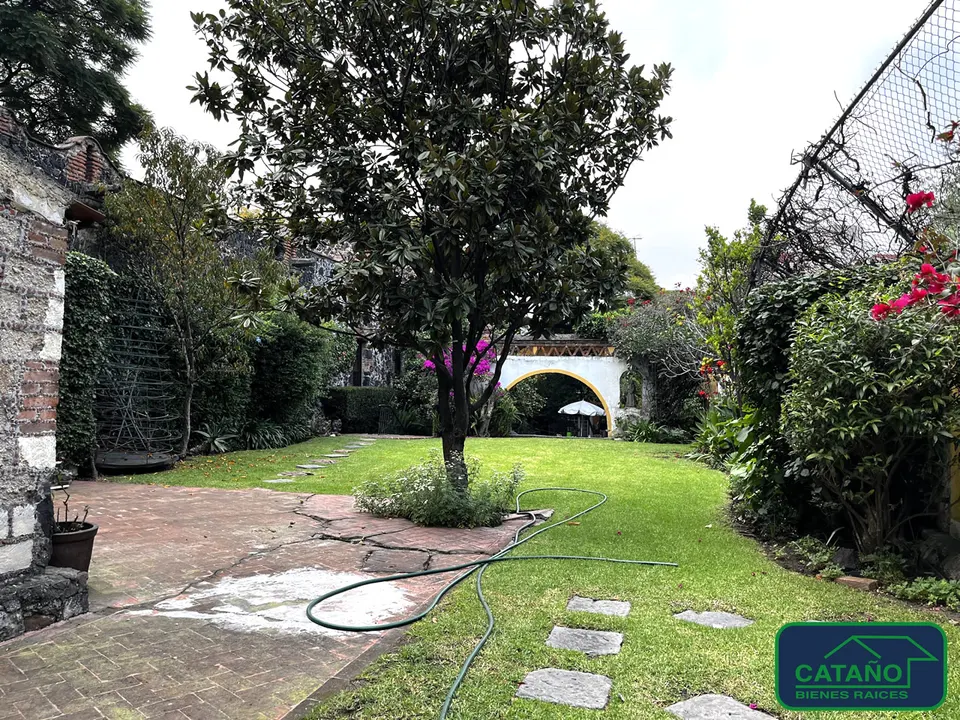 jardin