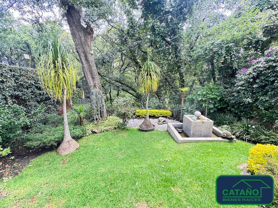 jardin