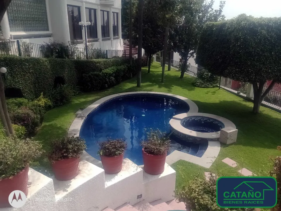jardin