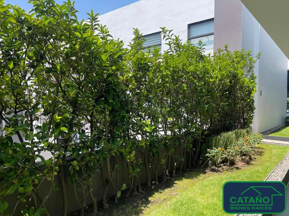 Departamento en venta, Olivar de los Padres, Av Toluca