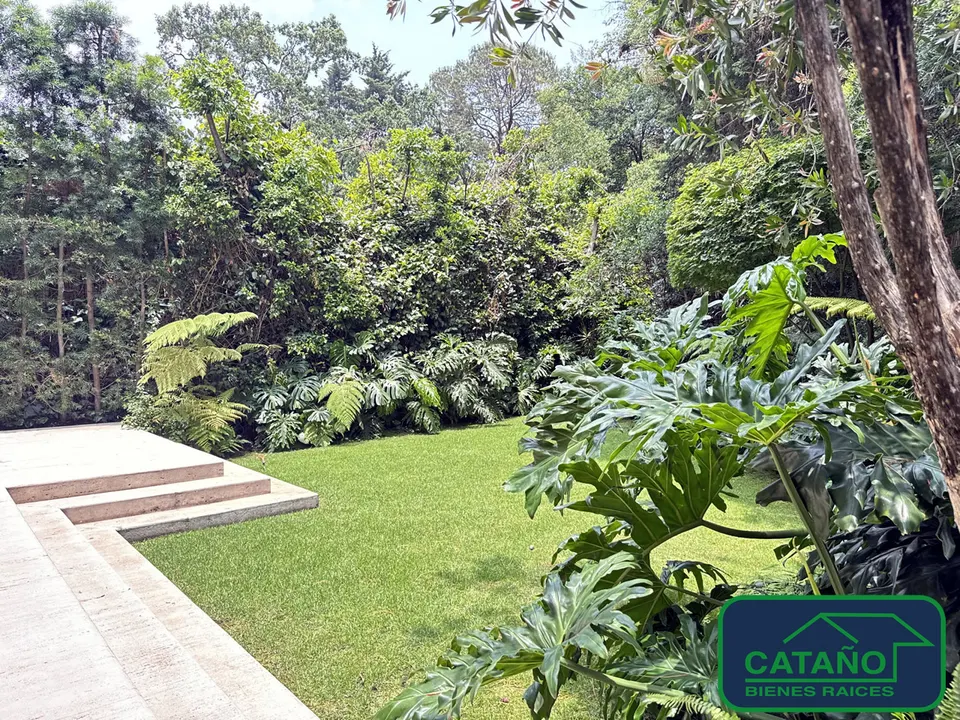 jardin