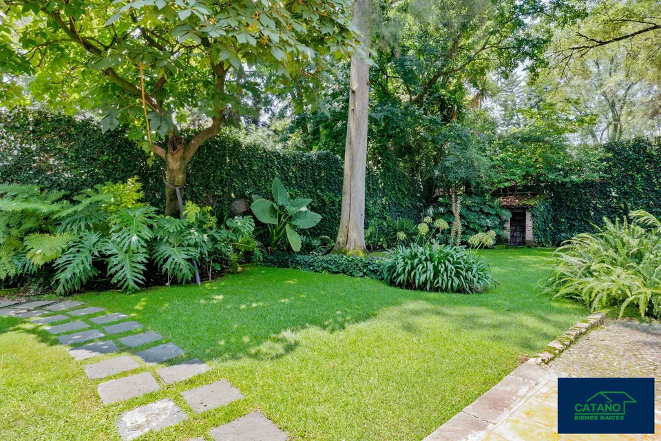 jardin