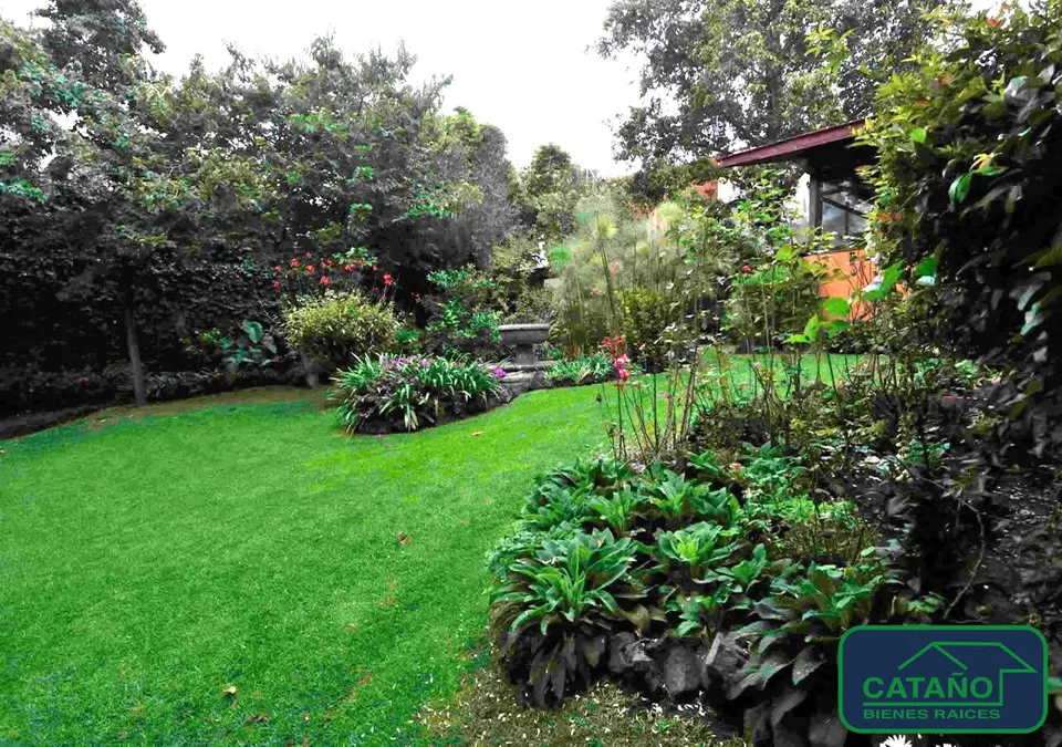 jardin