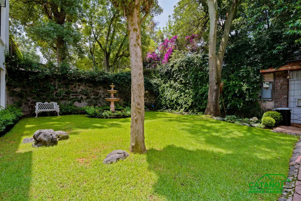 jardin