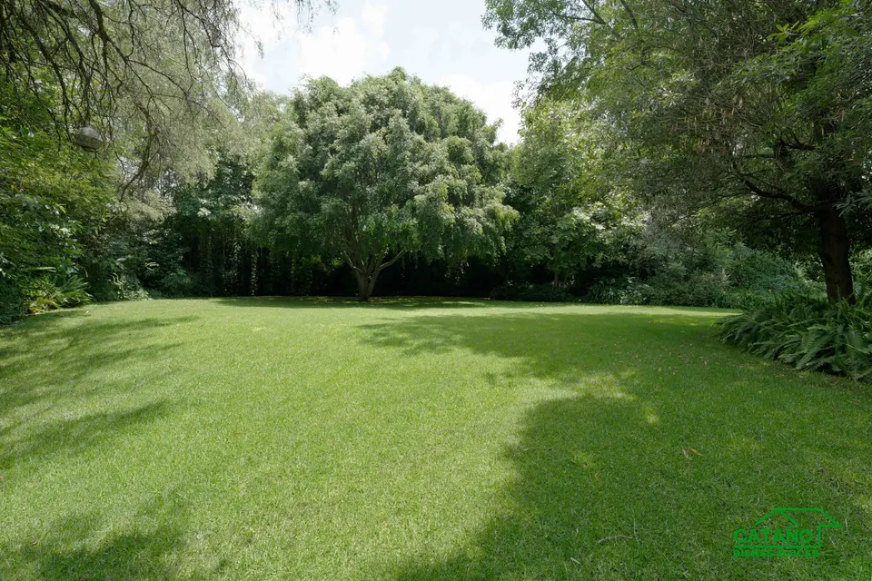 jardin
