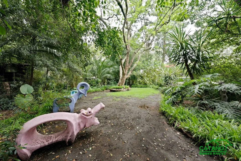 jardin