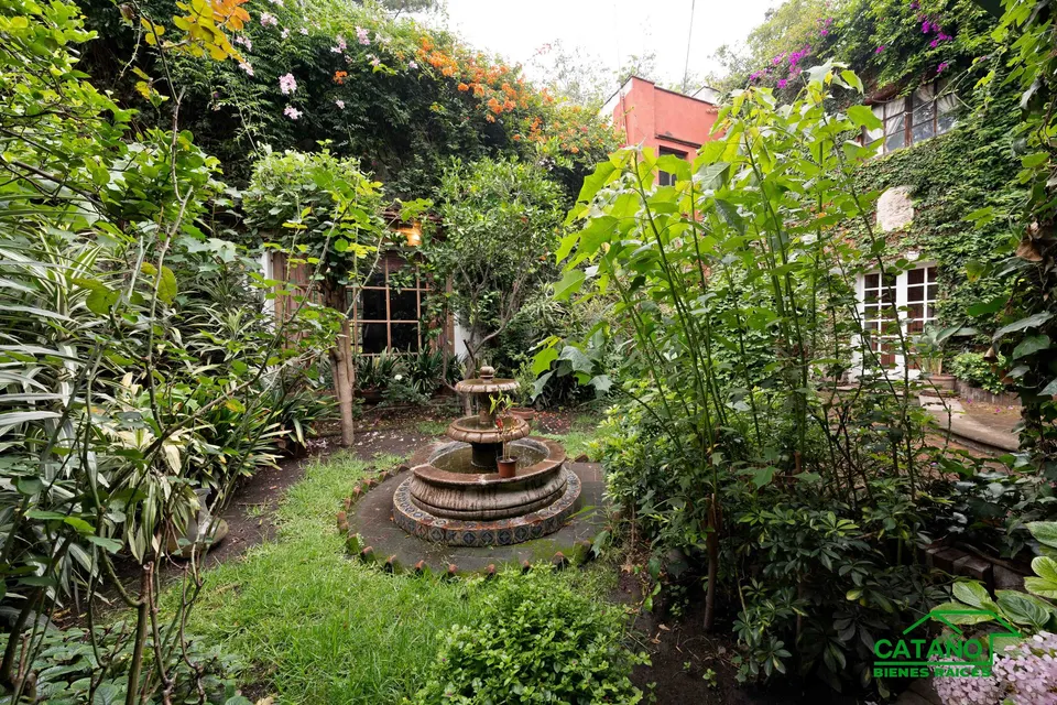 jardin