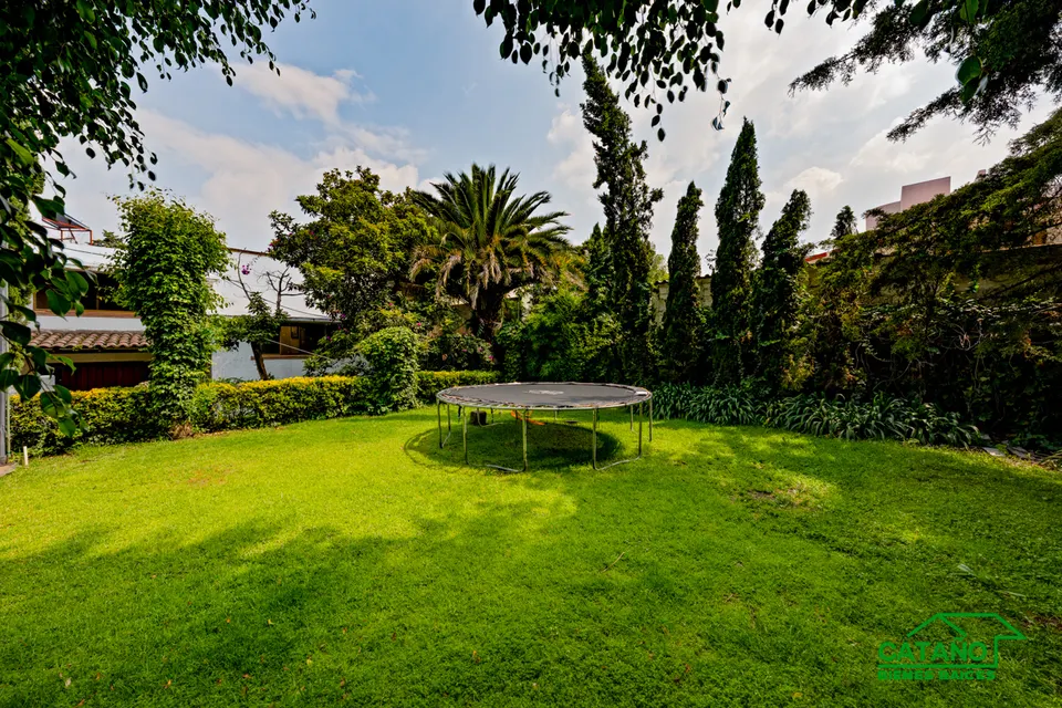 jardin